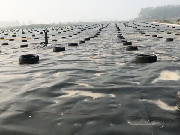 湖南长沙污水处理厂
